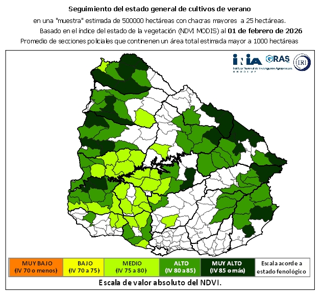Mapa de seguimiento del estado general de cultivos de verano por sección policial, febrero de 2026 – INIA GRAS